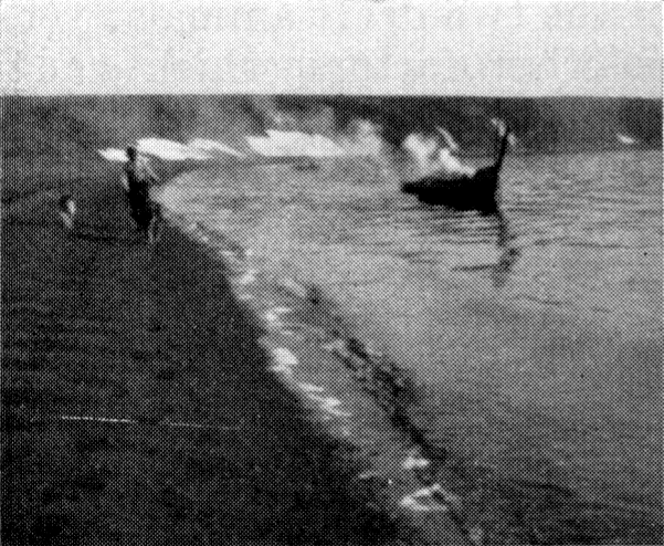 Man toeing a boat on a riverbank. To his side is a dog. Behind the man, the bank has a ridge.
